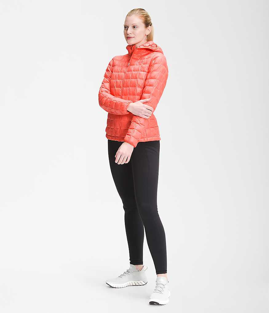 Women’s ThermoBall™ Eco Hoodie - imagine 13